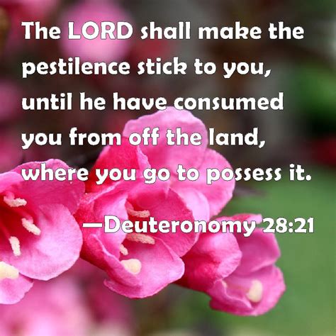 Deuteronomy 28:21 The LORD shall make the pestilence stick to you ...