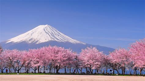 #375763 Mount Hiyoriyama Japan 4k - Rare Gallery HD Wallpapers