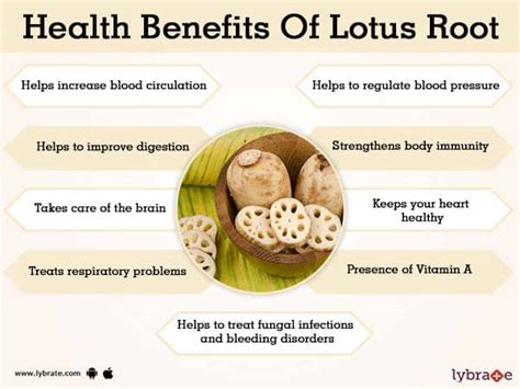 Benefits of Lotus Root And Its Side Effects | Lybrate