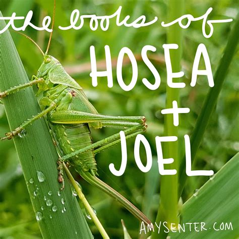 Printable Bible Study for the Book of Hosea and Joel