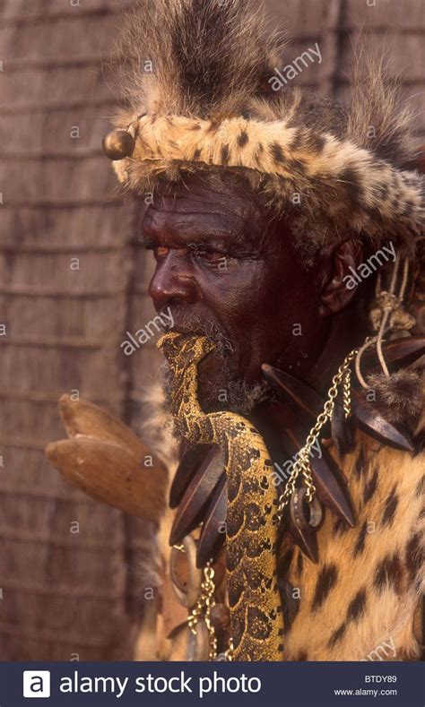 zulu-sangoma-with-a-puff-adder-head-in-his-mouth-a-highly-poisonous