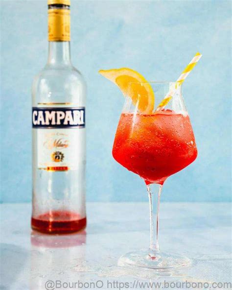 Campari Sour (Campari, Gin and Lemon Cocktail): Step by step recipe ...