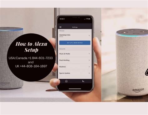 How To Set Up Alexa or Amazon Alexa Setup: Best Guide - AtoAllinks