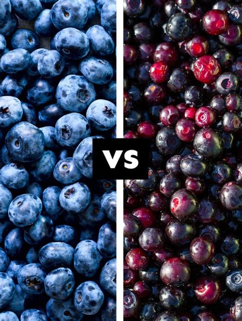 Blueberry Vs. Huckleberry: What's The Difference? | Live Eat Learn