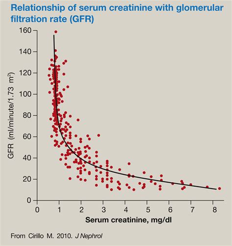 Laboratory tests of renal function - Anaesthesia & Intensive Care Medicine