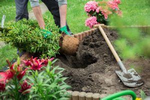 Les travaux au jardin - Le Jardin de Plaisance