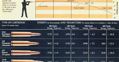 Common Rifle Caliber Chart