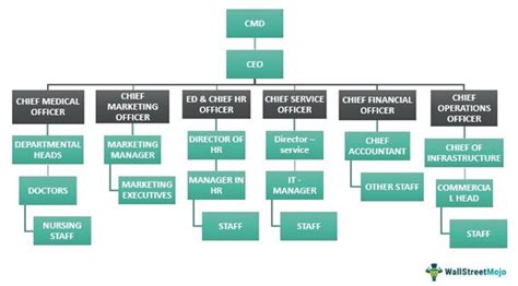 Organizational Structure - Definition, Types, Examples, What is it ...