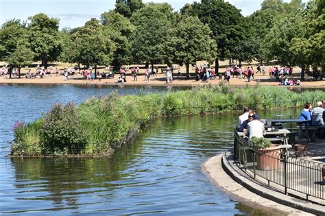 Floating Treatment Wetlands Show Promise as Pond Retrofit