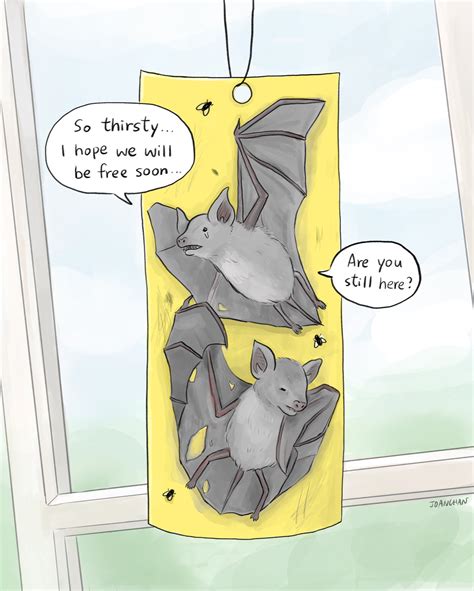 Sticky Traps Endanger Bats! - Northern California Bats