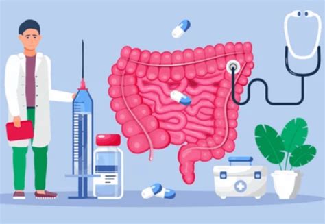 Understanding The Benefits Of Probiotics For Gut Health