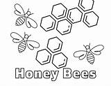 100 Bee Coloring Pages  ColoringPagesOnlycom sketch template