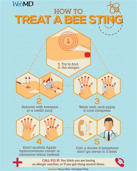 WebMD on Instagram: “Bee sting? 🐝 Follow these steps to remove the stinger and relieve itching ...