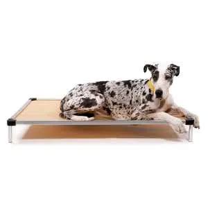 Best Elevated Dog Bed: Raised, Chew-Proof, Off-The-Ground Cots & Hammocks