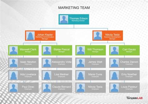 40 Organizational Chart Templates (Word, Excel, Powerpoint) Throughout ...