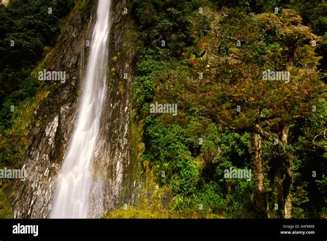 Haast, New Zealand Stock Photo - Alamy