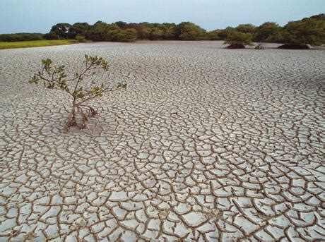 Water Scarcity | Threats | WWF