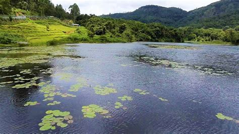 Kookal Lake | Kookal Lake Kodaikanal | Kodaikanal Tourist Places | Kookal | Kookal Kodaikanal ...