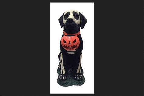 DHI Painted Skeleton Dog with Pumpkin Halloween Decoration Black - Walmart.com