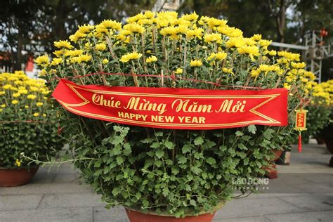 Hoa Tết tràn xuống phố, người dân thi nhau "chở xuân" về nhà