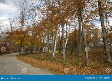 Vermont Scenic Autumn Foliage Stock Photo - Image of scenic, fall: 68589990