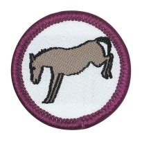 Mini Badges - Valley Farm Pony Club