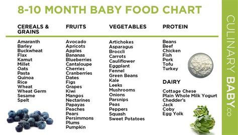 8 to 10 month baby food chart dishes | Baby food recipes, 10 months baby food, Baby food chart