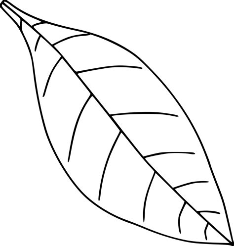 Simple Leaf Drawing - Simple Leaf Clipart Black And White - Png ...