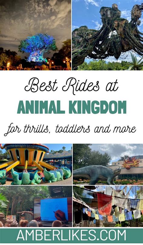 What are the best rides at animal kingdom – Artofit