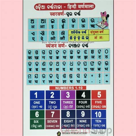 Buy Odia Kids Book My First Book Of English Alphabets - Odisha Shop