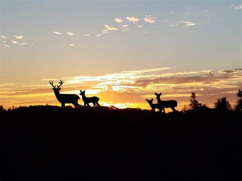 Banner Family Image | Doe Range