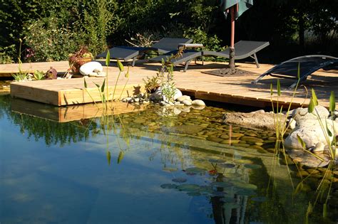 How to Build a Natural Swimming Pool | Mother Earth News