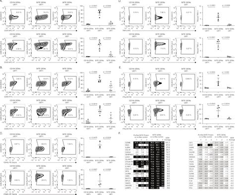 Bispecific T cell engager (BiTE) genetically engineered macrophages... | Download Scientific Diagram