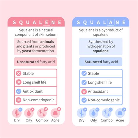 Squalane vs Squalene: What's the Difference? - Picky | The K-Beauty Hot ...