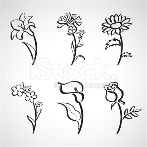 Ink style hand drawn sketch set - summer flowers | Lily flower tattoos ...