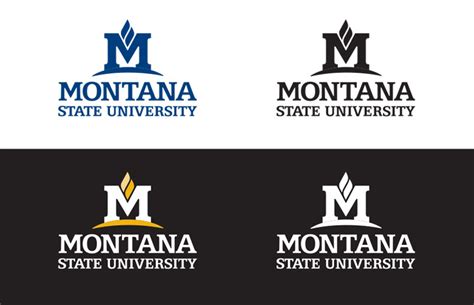 Logo use guide - Marketing | Montana State University