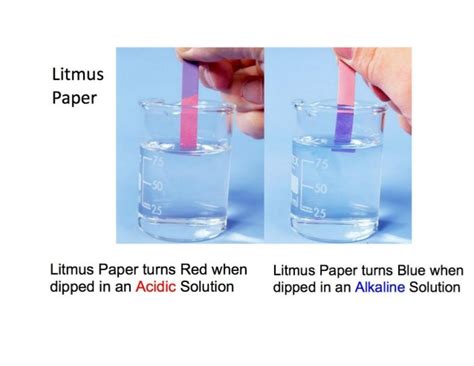 . Explain the effect of acids on methyl orange and litmus paper? | Socratic