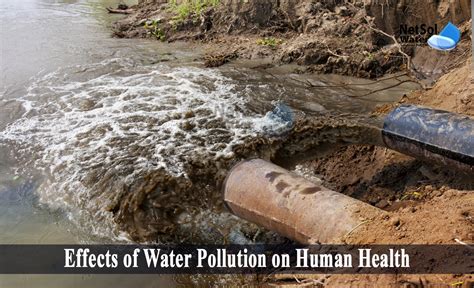 What are the Effects of Water Pollution on Human Health? Top 5