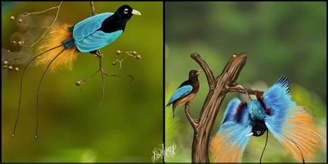 Blue Bird of Paradise by pop2nd on DeviantArt | Birds of paradise ...