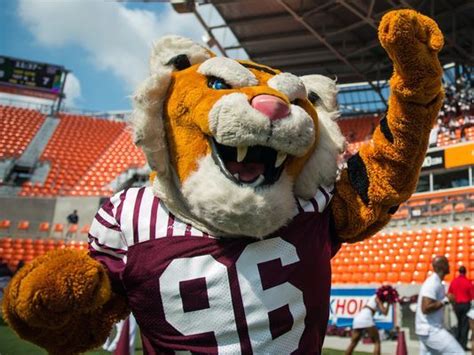 Texas Southern Tigers mascot, Tommy | Mascot, Tri color, Black tigers