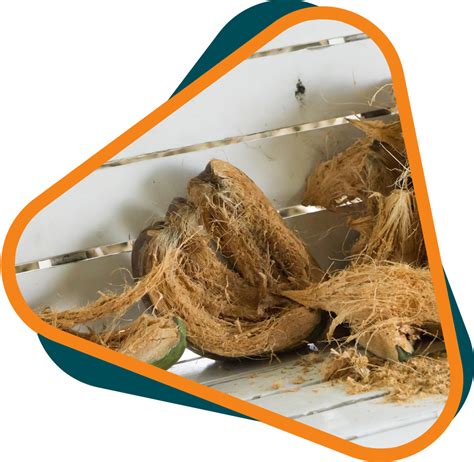 Custom branded sustainable coconut husk products from Bag Maverick