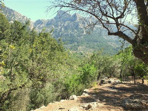 Day Hiking in the Soller Valley - Prime Passages