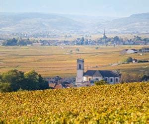 Pommard, Burgundy - France Wine Region | Wine-Searcher