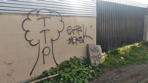 blood gangs graffiti: Tree top piru ( compton , TTP )