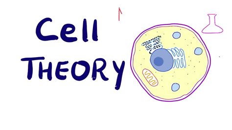 Cell Theory - Biology - MCAT, AP Biology, GSCE, DAT, NEET, ACT - YouTube