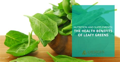 Nutrition and Supplements: The Health Benefits of Leafy Greens - Ameriden International, Inc ...