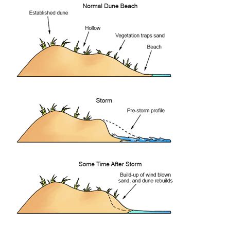 Sand Dune – Geography - Mammoth Memory Geography