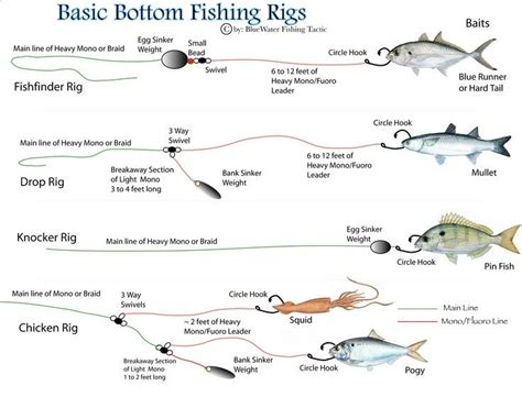 fishing rig diagrams | First - There are two basic kinds of bottom rigs ...