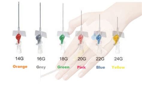 6 Types of Cannula Sizes and Colors - Meds Safety