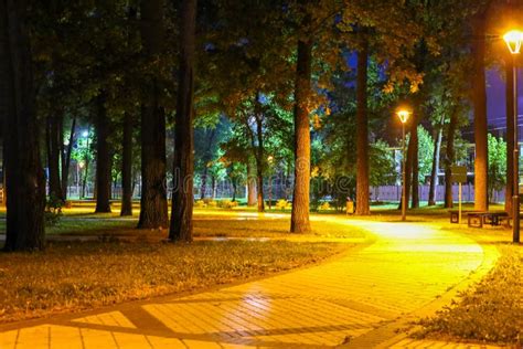 Park Night Lights stock photo. Image of city, comfort - 30669794